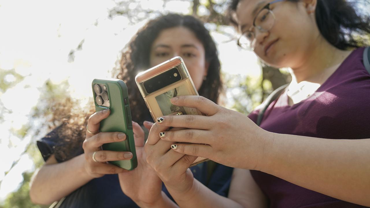 Two female students outside using their phones to examine native plants