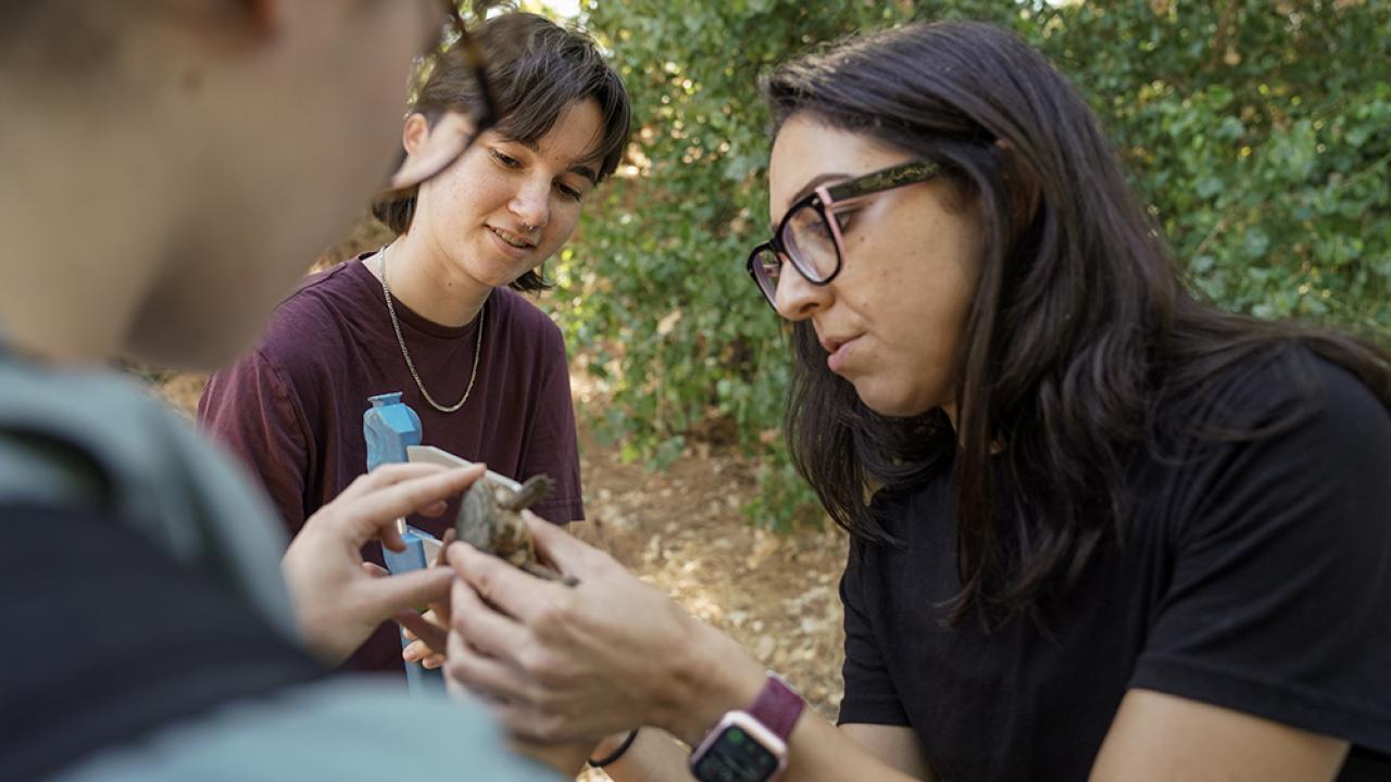 Three female students examining a turtle outdoors. 