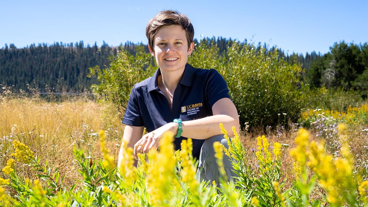 Smiling person in navy polo leaning among yellow wildflowers with forested hills