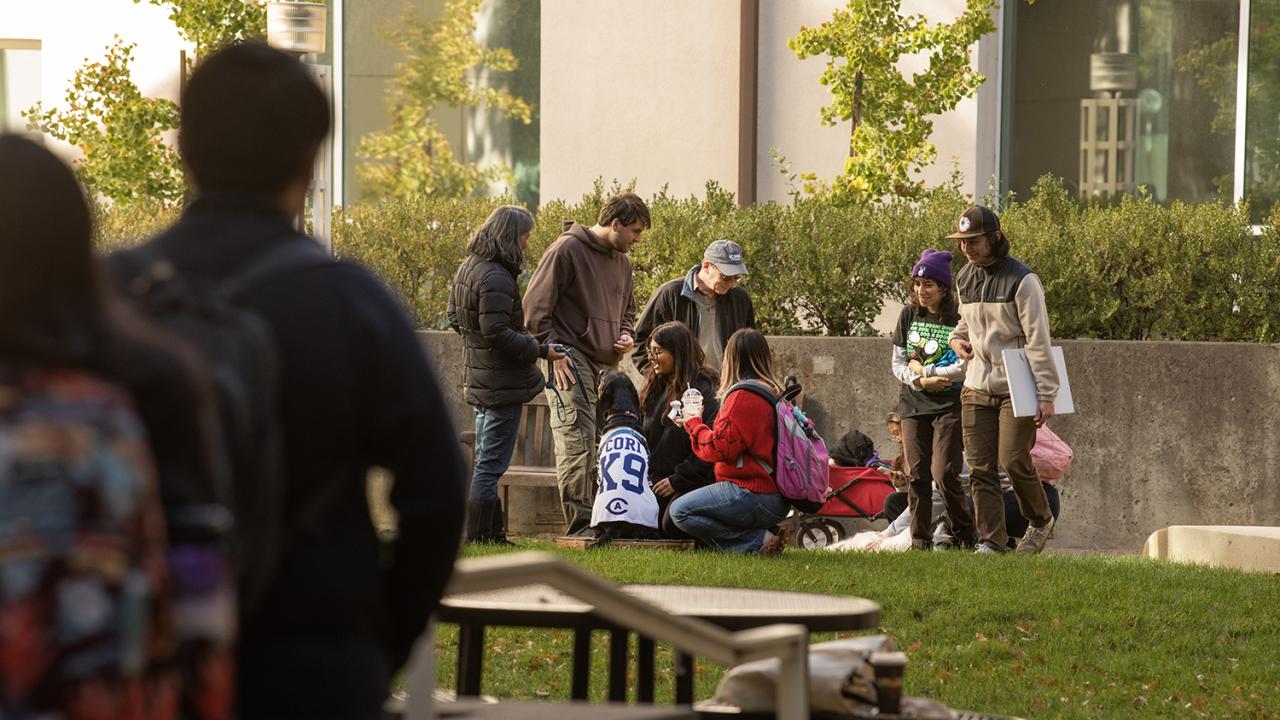 Students gather on a grassy area outside a campus building, interacting with therapy dogs and their handlers. One black dog wears a “K9 Comfort” vest while people pet and talk with it. Some students are seated or kneeling, smiling and holding coffee, while others stand nearby. In the foreground, more students walk past or observe the scene. Tables and fallen leaves are visible, suggesting a casual and relaxed outdoor event.