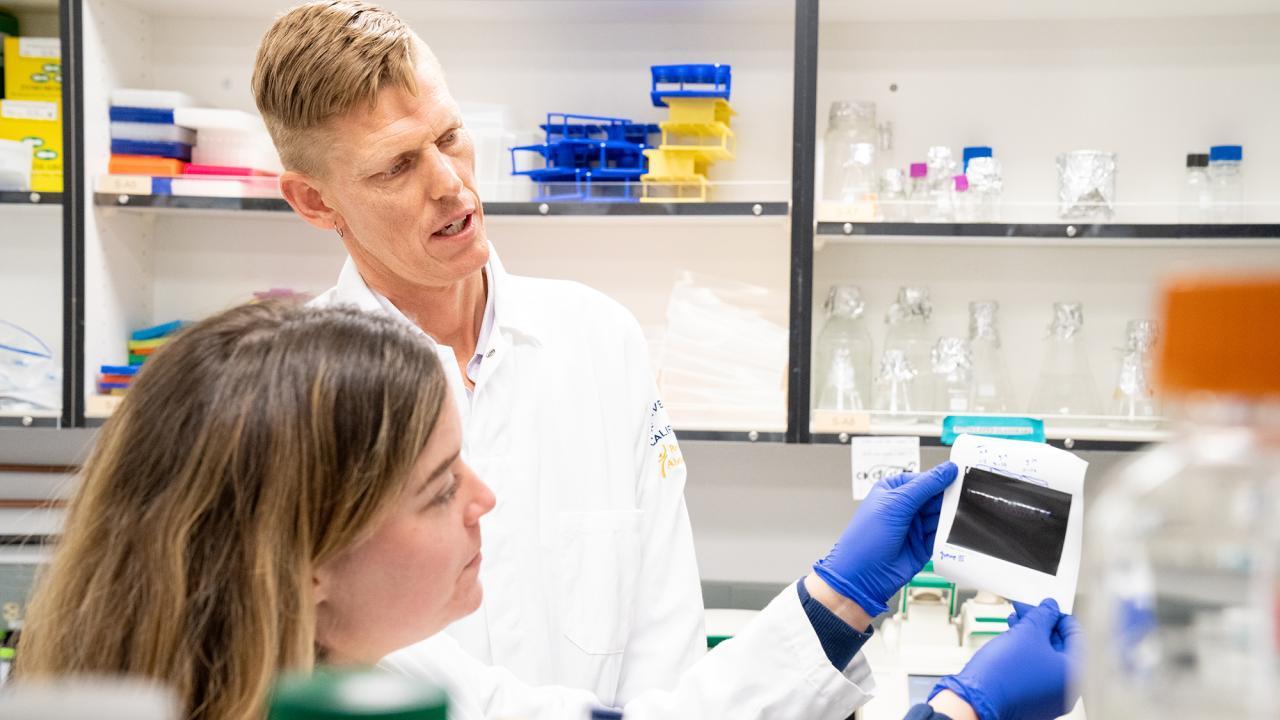 Alex Nord with graduate student in lab