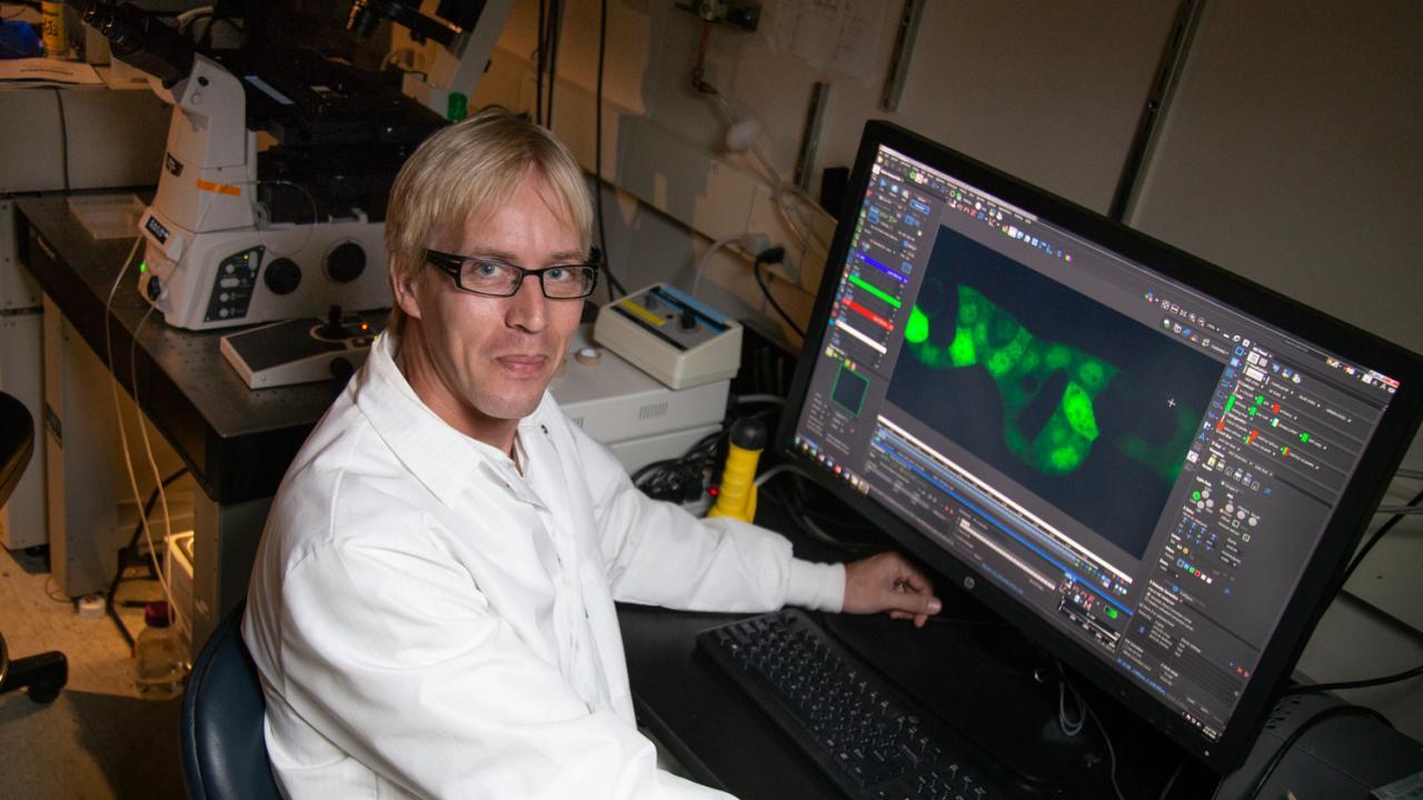 Male researcher in white lab coat sitting in lab in front of computer with green micrograph displayed