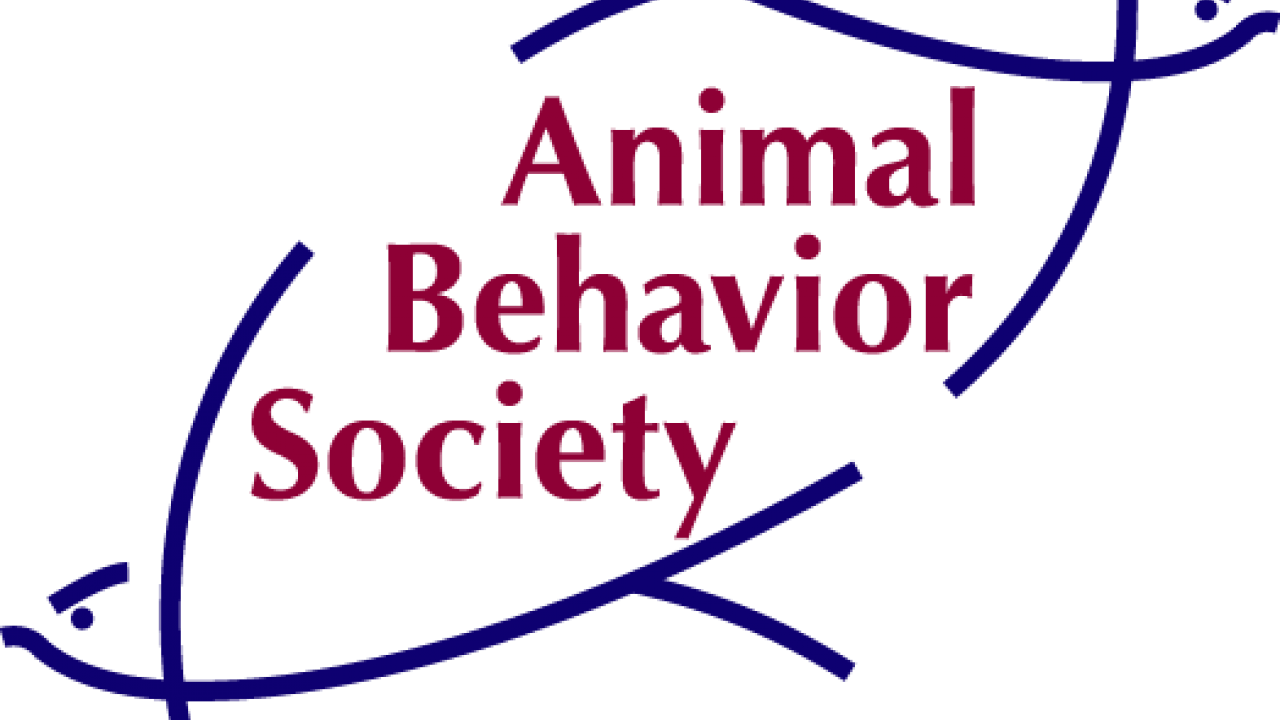 Ann Hedrick Elected as a Fellow of the Animal Behavior Society