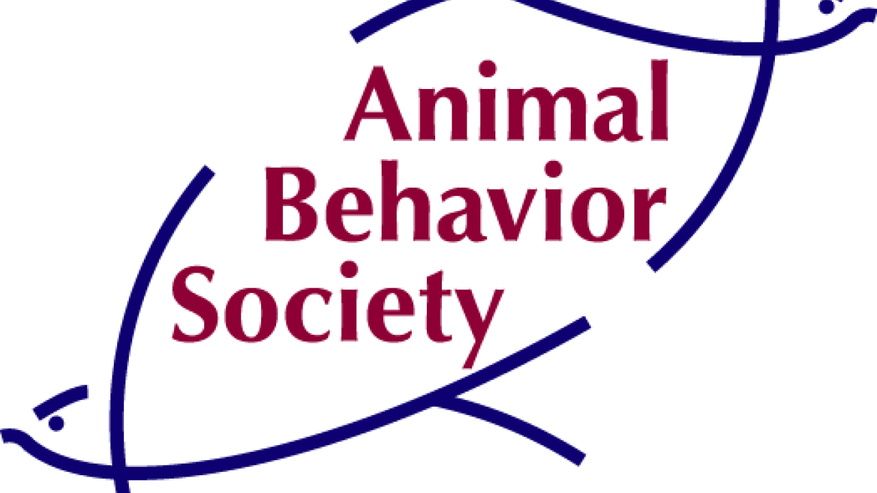 logo of animal behavior society