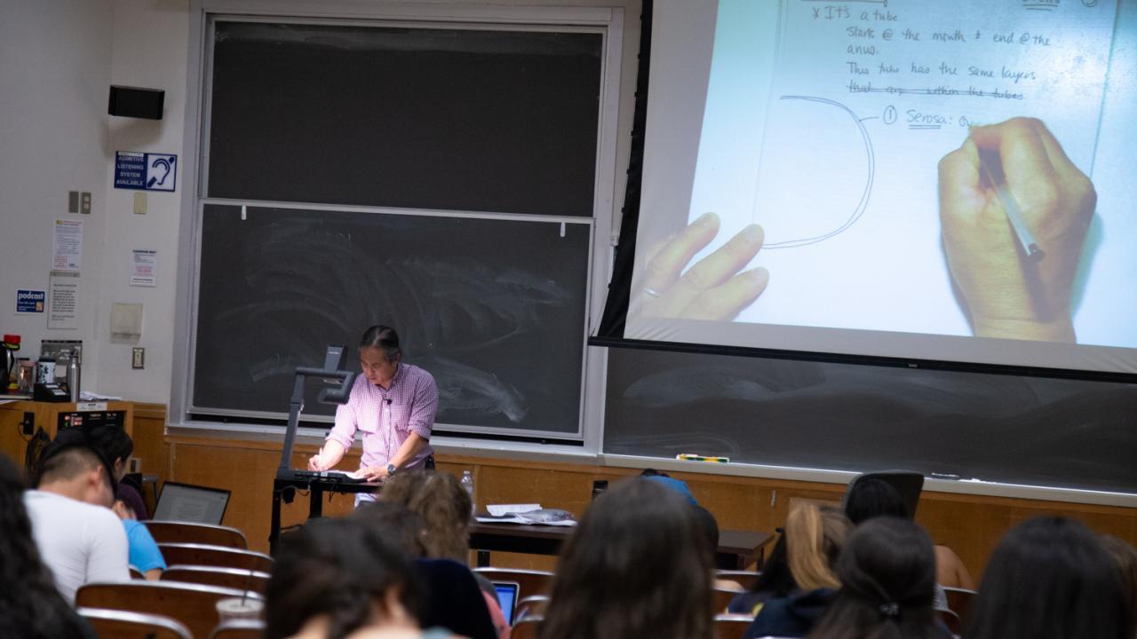 picture of erwin teaching in a lecture hall