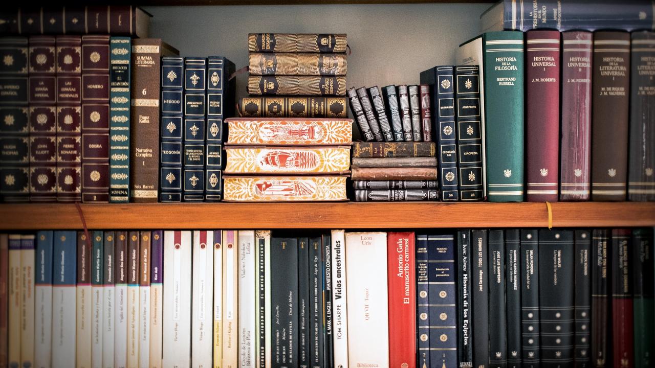 picture of bookshelf